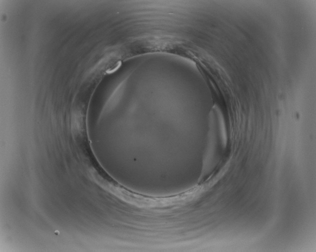 X0000084520035200702231146