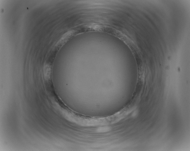 X0000084520036200702231146