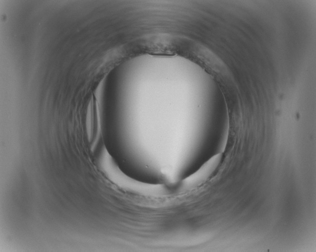 X0000084520037200702231146