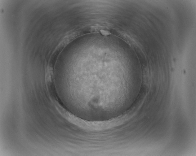 X0000084520038200702231146