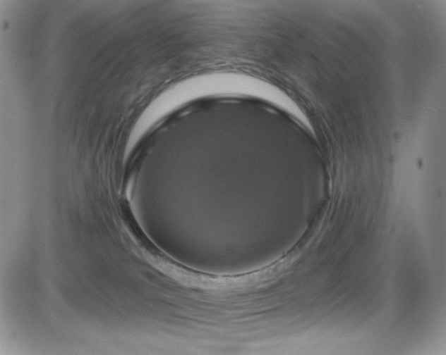 X0000084520039200702231146