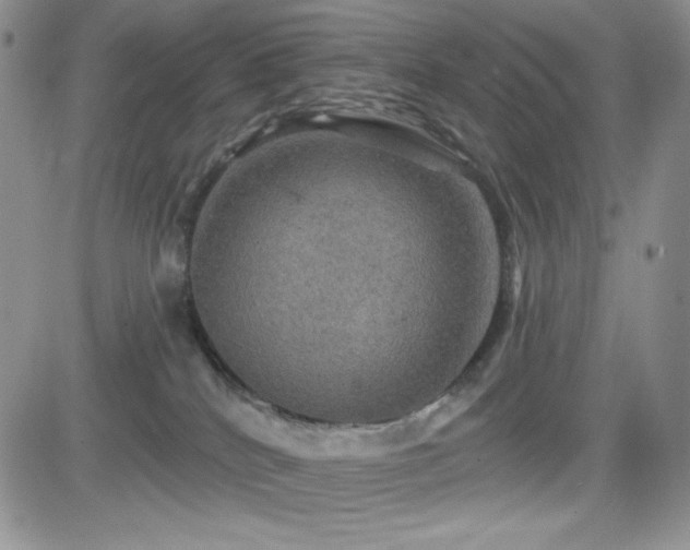 X0000084520040200702231146