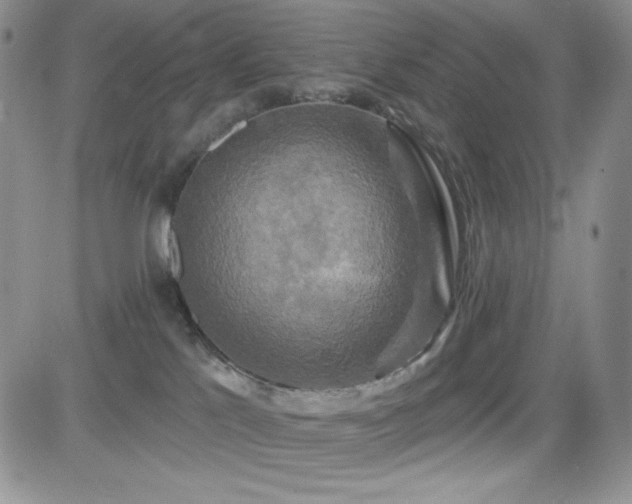 X0000084520041200702231146