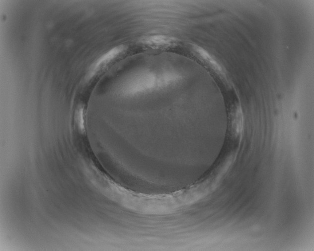 X0000084520042200702231146