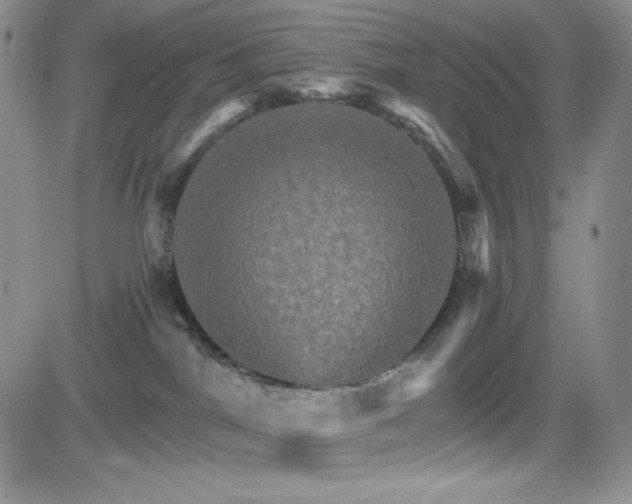 X0000084520044200702231146