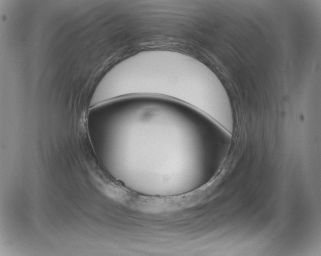 X0000084520045200702231146