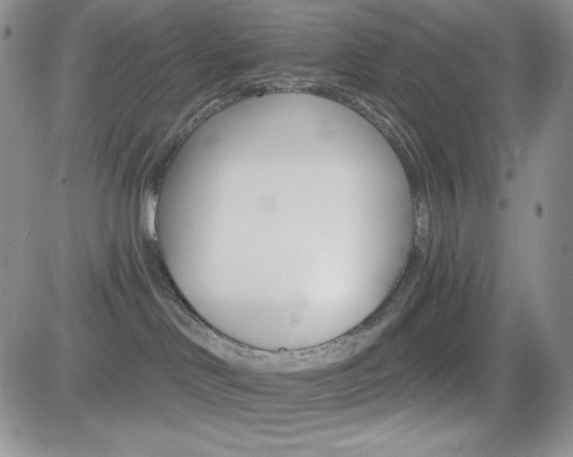 X0000084520046200702231146