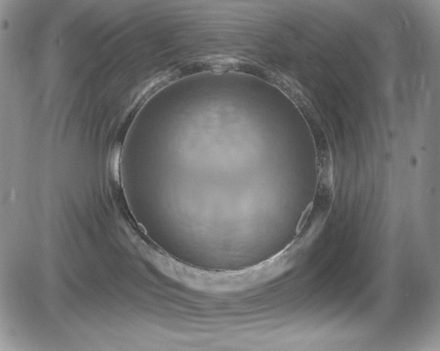 X0000084520047200702231146