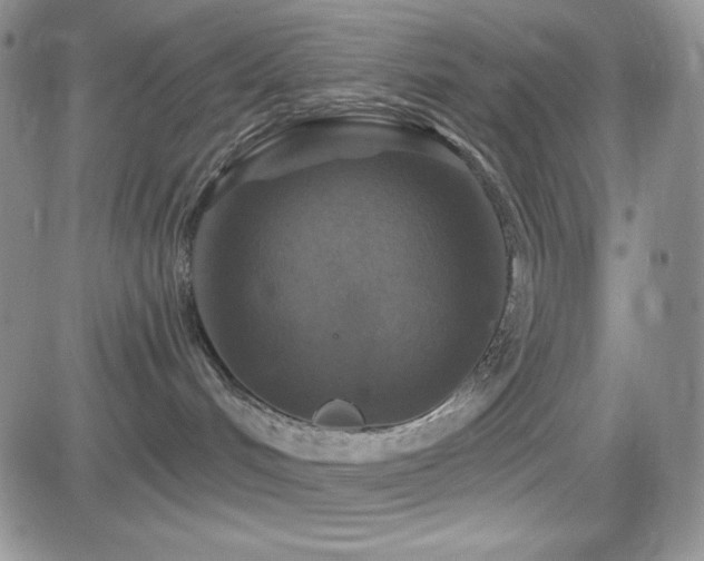 X0000084520048200702231146