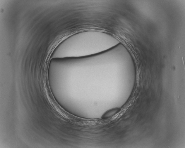 X0000084520049200702231145