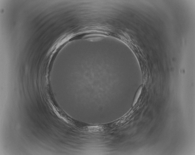 X0000084520050200702231145