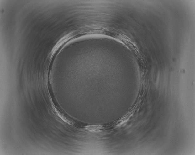 X0000084520051200702231145