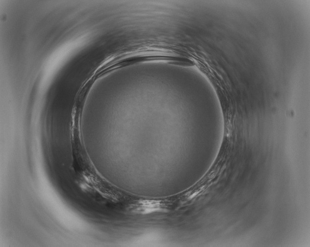 X0000084520052200702231145