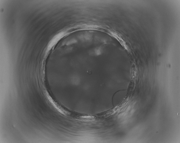 X0000084520053200702231145