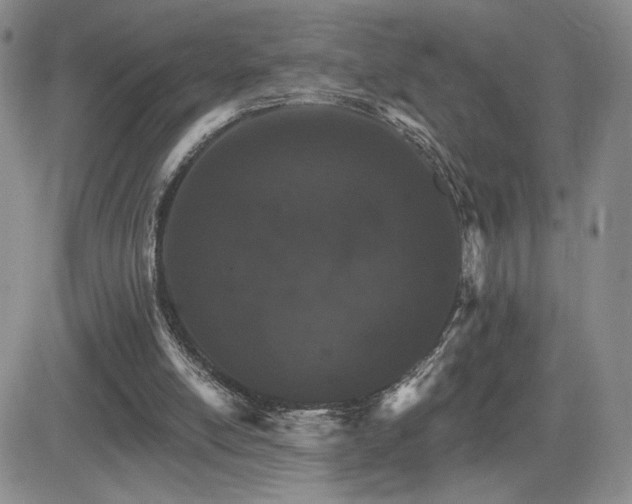 X0000084520054200702231145