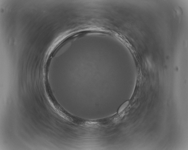 X0000084520055200702231145