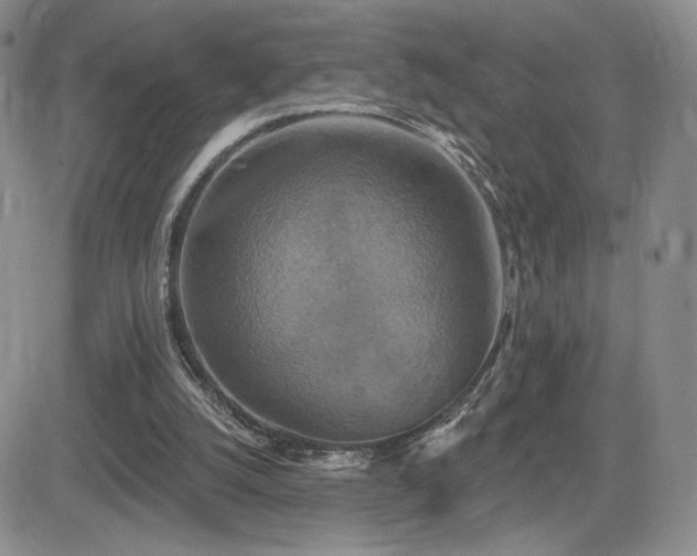 X0000084520056200702231145