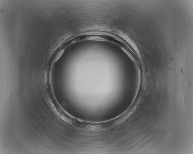 X0000084520057200702231145