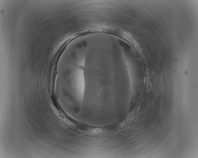 X0000084520058200702231145