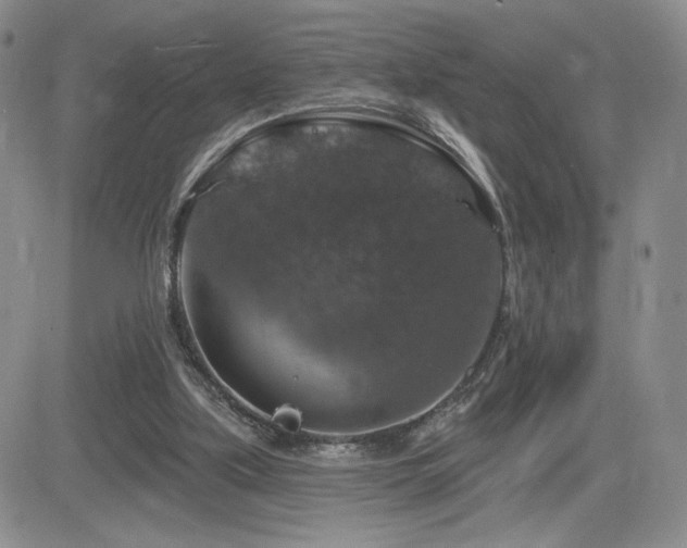 X0000084520059200702231145