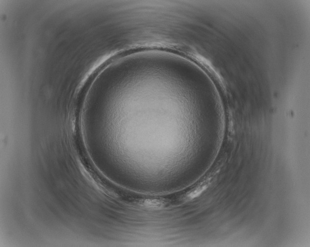 X0000084520060200702231145