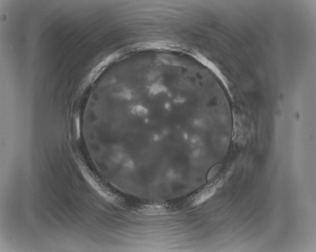 X0000084520061200702231145