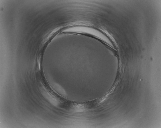 X0000084520062200702231145