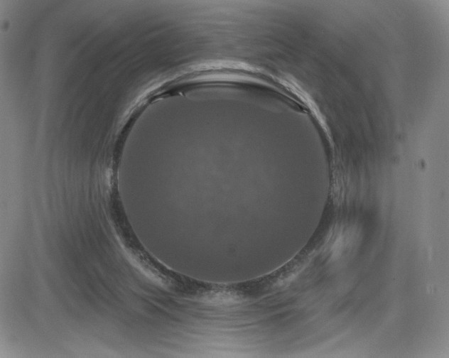 X0000084520063200702231145