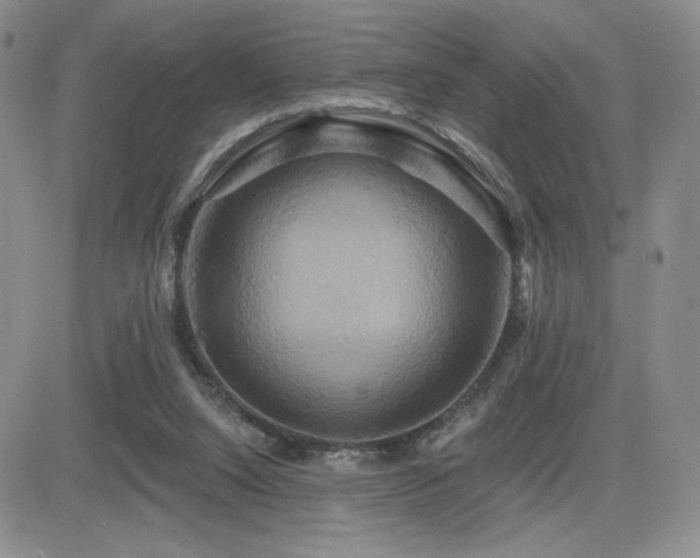 X0000084520064200702231145