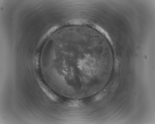 X0000084520065200702231145