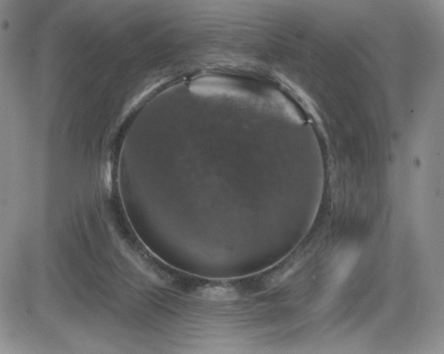 X0000084520067200702231145