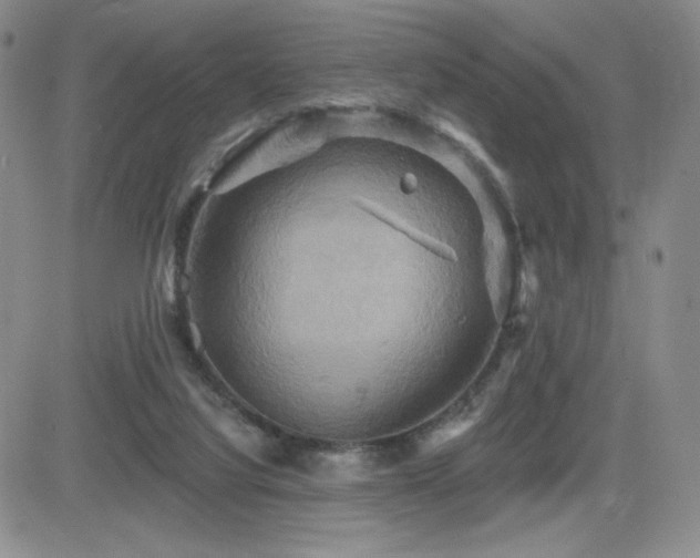 X0000084520068200702231145