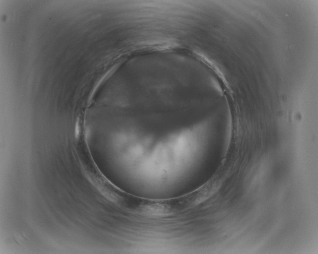 X0000084520069200702231145