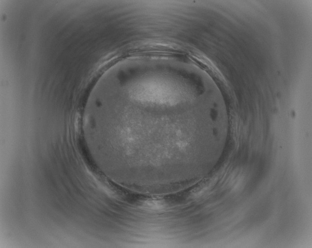 X0000084520071200702231145