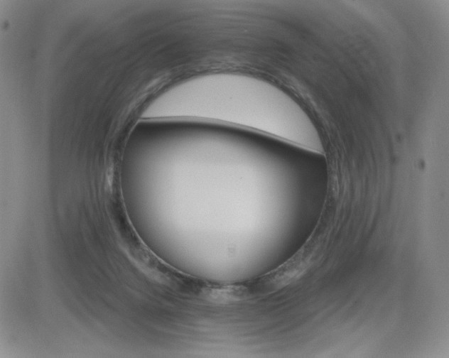 X0000084520072200702231145