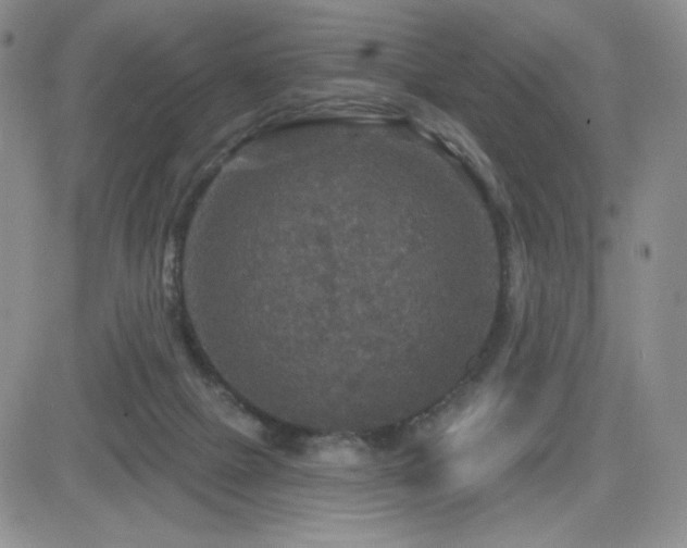 X0000084520073200702231145