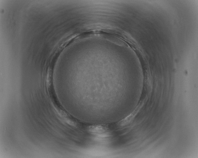 X0000084520074200702231145