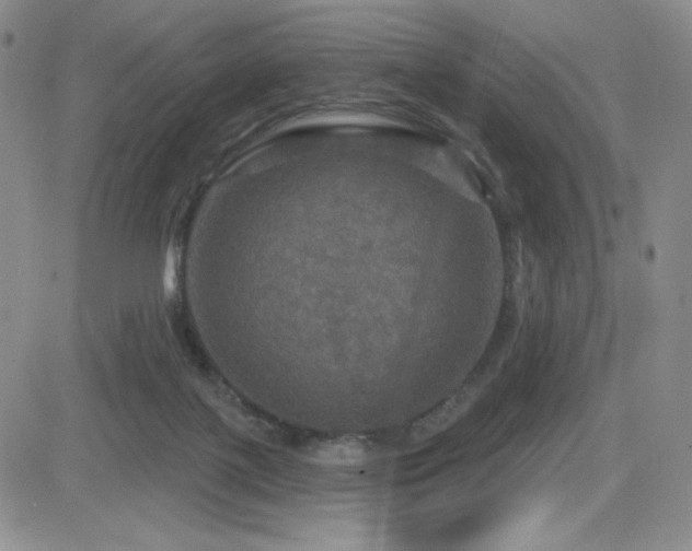 X0000084520075200702231145