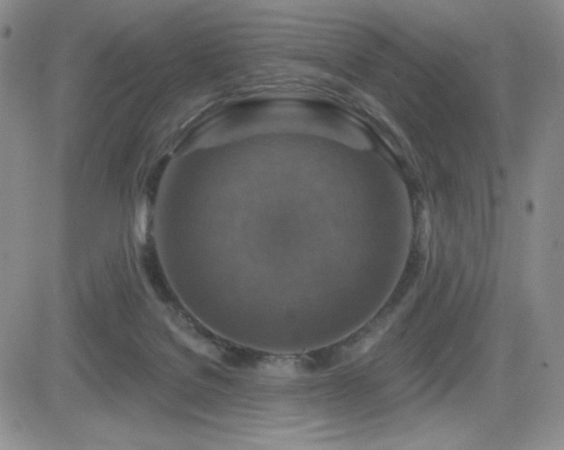 X0000084520076200702231145