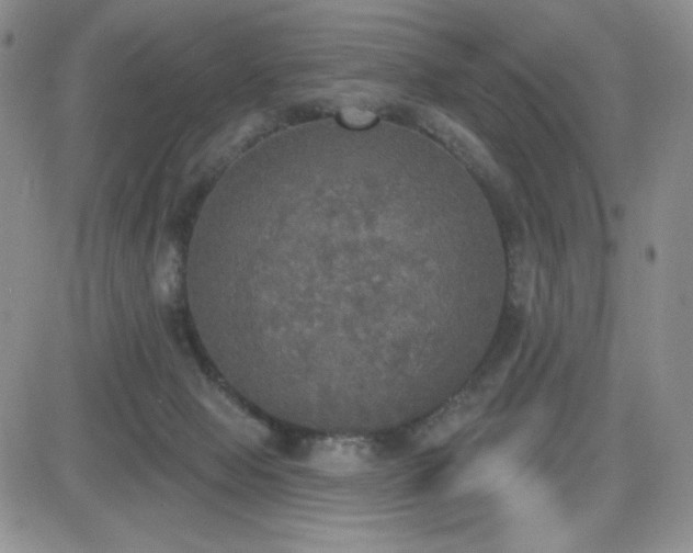 X0000084520077200702231145