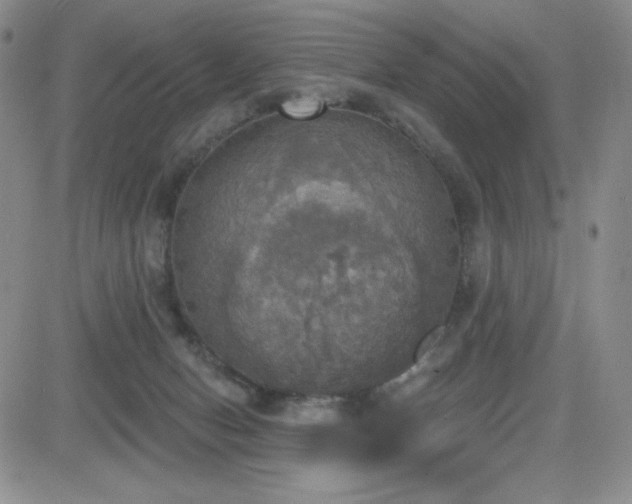 X0000084520078200702231145