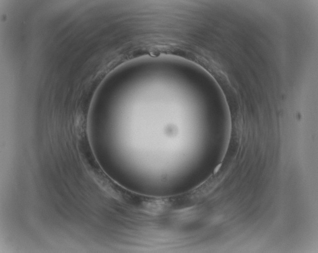 X0000084520079200702231145