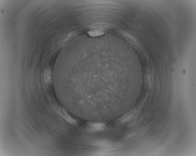 X0000084520081200702231145