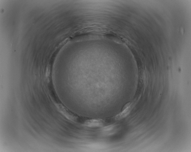 X0000084520082200702231145