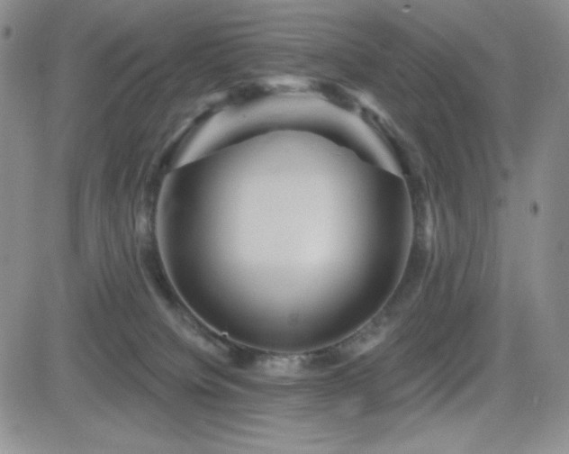 X0000084520084200702231145