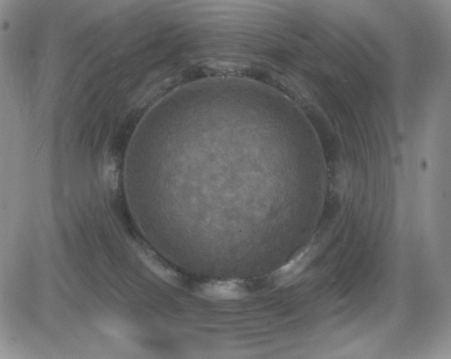 X0000084520086200702231146