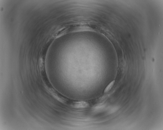 X0000084520087200702231146