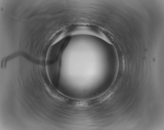 X0000084520088200702231146