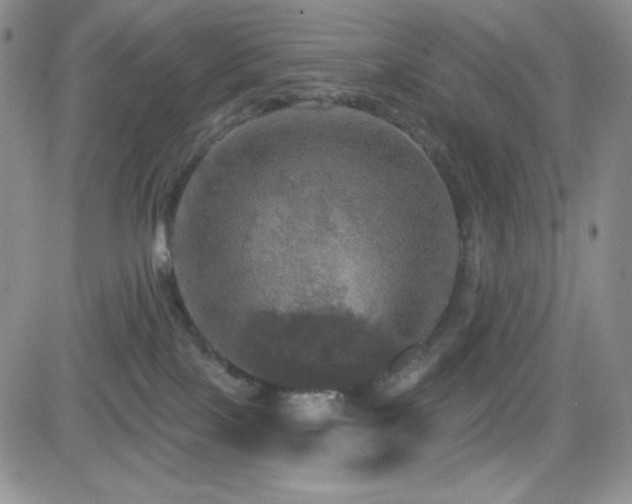 X0000084520089200702231146