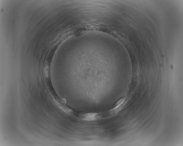 X0000084520090200702231146